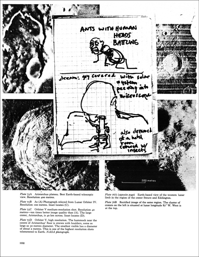 David Wojnarowicz: In the Shadow of Forward Motion thumbnail 4