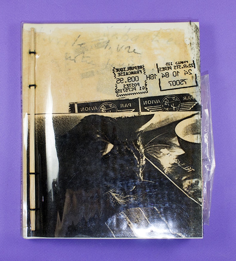 Coco Gordon - Sebastien Live Cat Chat Vive - Printed Matter