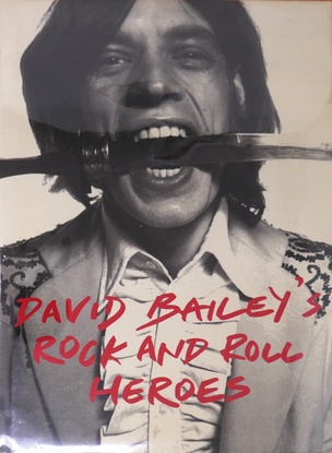 David Bailey's Rock and Roll Heroes