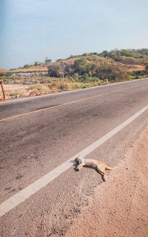 Carretera Nacional