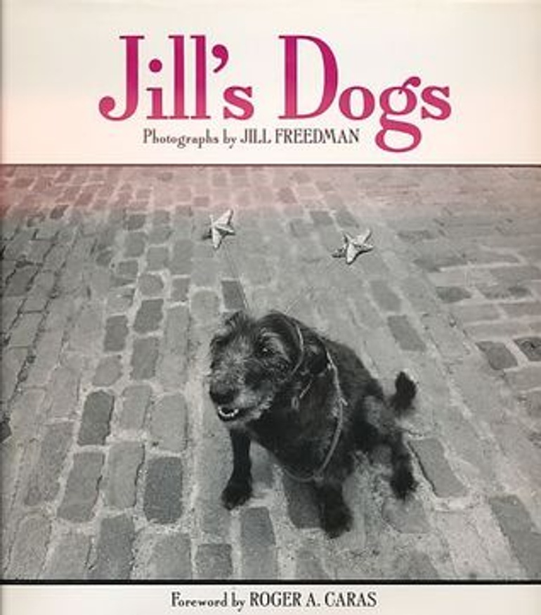 Jill's Dogs [Hardcover]