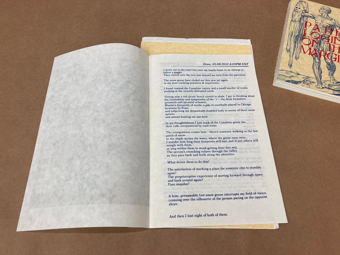 Evan Fusco - Pathologies of the Margins; a study in dissipation ...