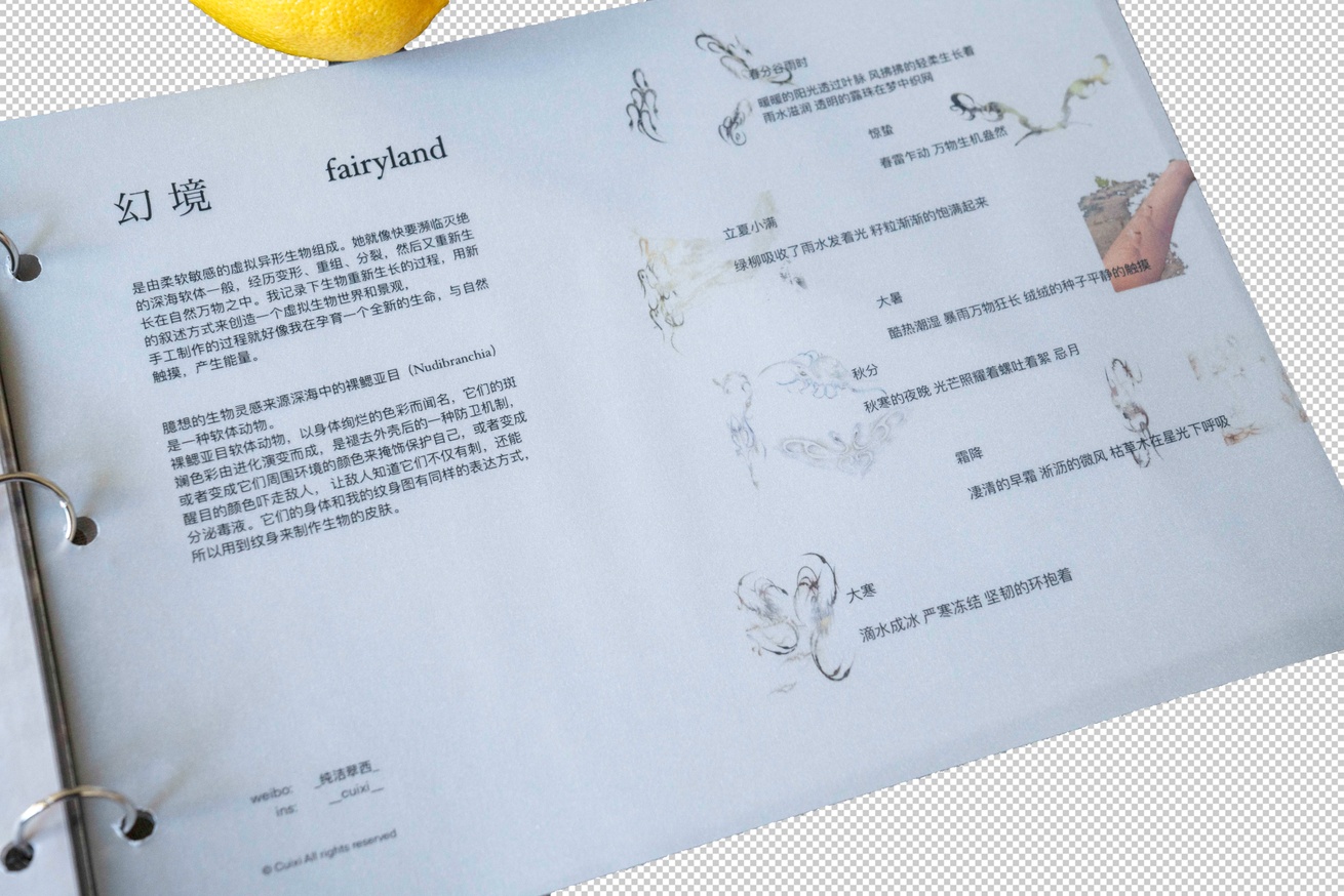 Fairyland / 幻境 thumbnail 2