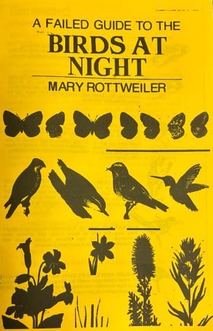 A Failed Guide to the Birds at Night