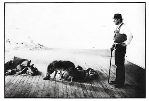 Joseph Beuys Postcard