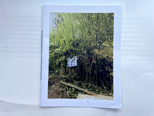 Rosemarie Trockel - La Biennale di Venezia 1999 - Printed Matter