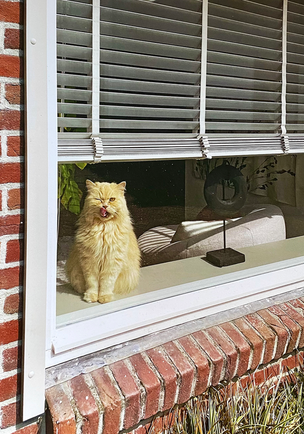 Wes Knoll - Fading Smile - Printed Matter