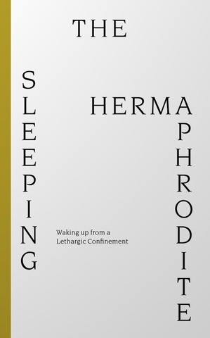 THE SLEEPING HERMAPHRODITE