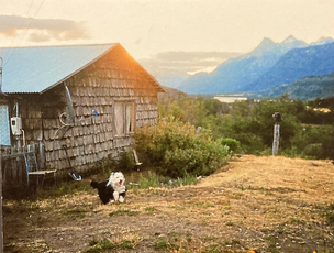 Patagonia, Chile Postcard