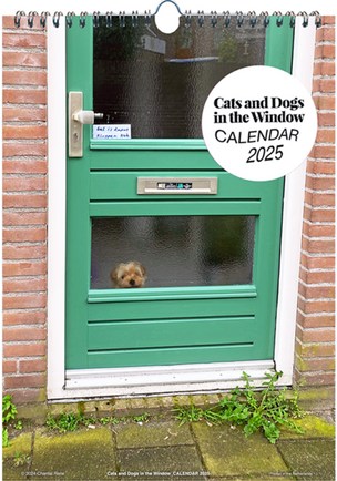 Cats and Dogs in the Window CALENDAR 2025