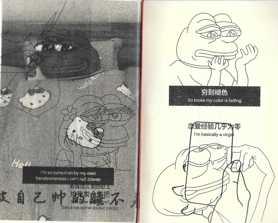 Pepe the Sad Frog Coloring Book and Chinese Learning Guide thumbnail 2