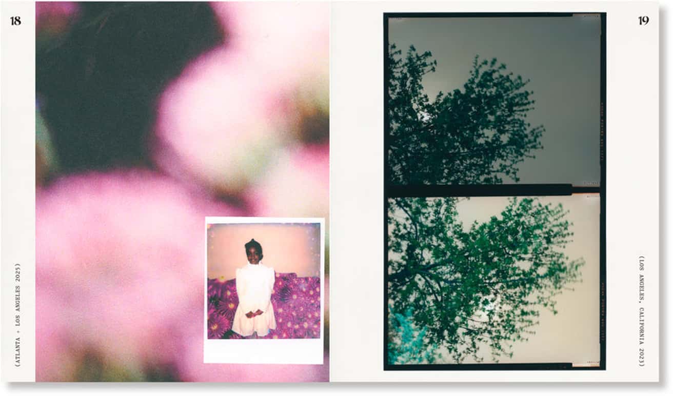 Shaniqwa Jarvis - Guts - Printed Matter