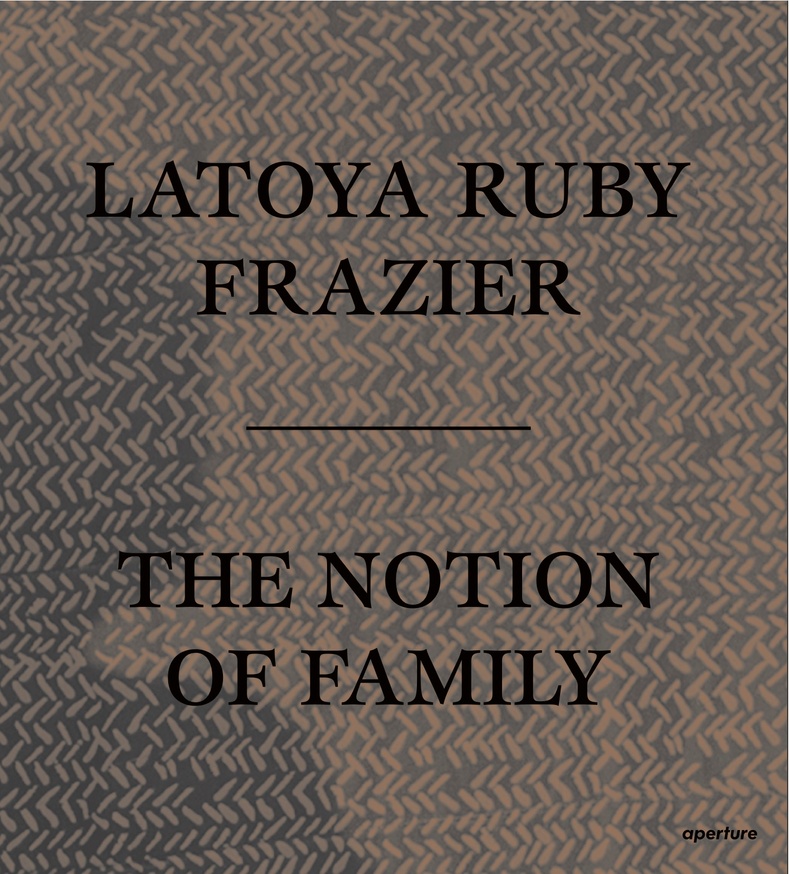 The Notion of Family [Paperback]