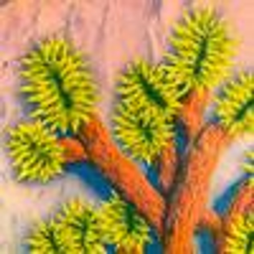 Joshua Tree thumbnail 2