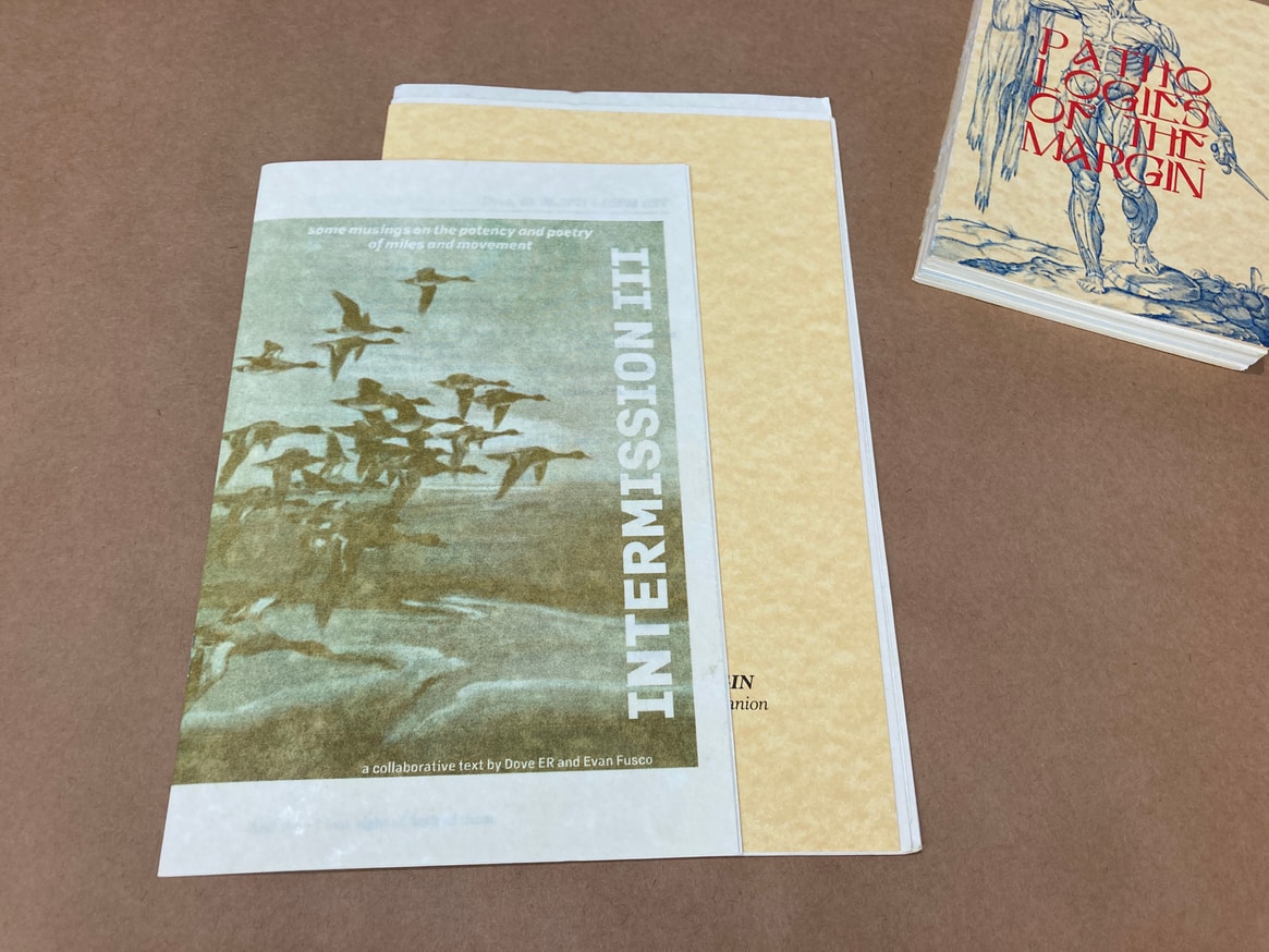 Evan Fusco - Pathologies of the Margins; a study in dissipation ...