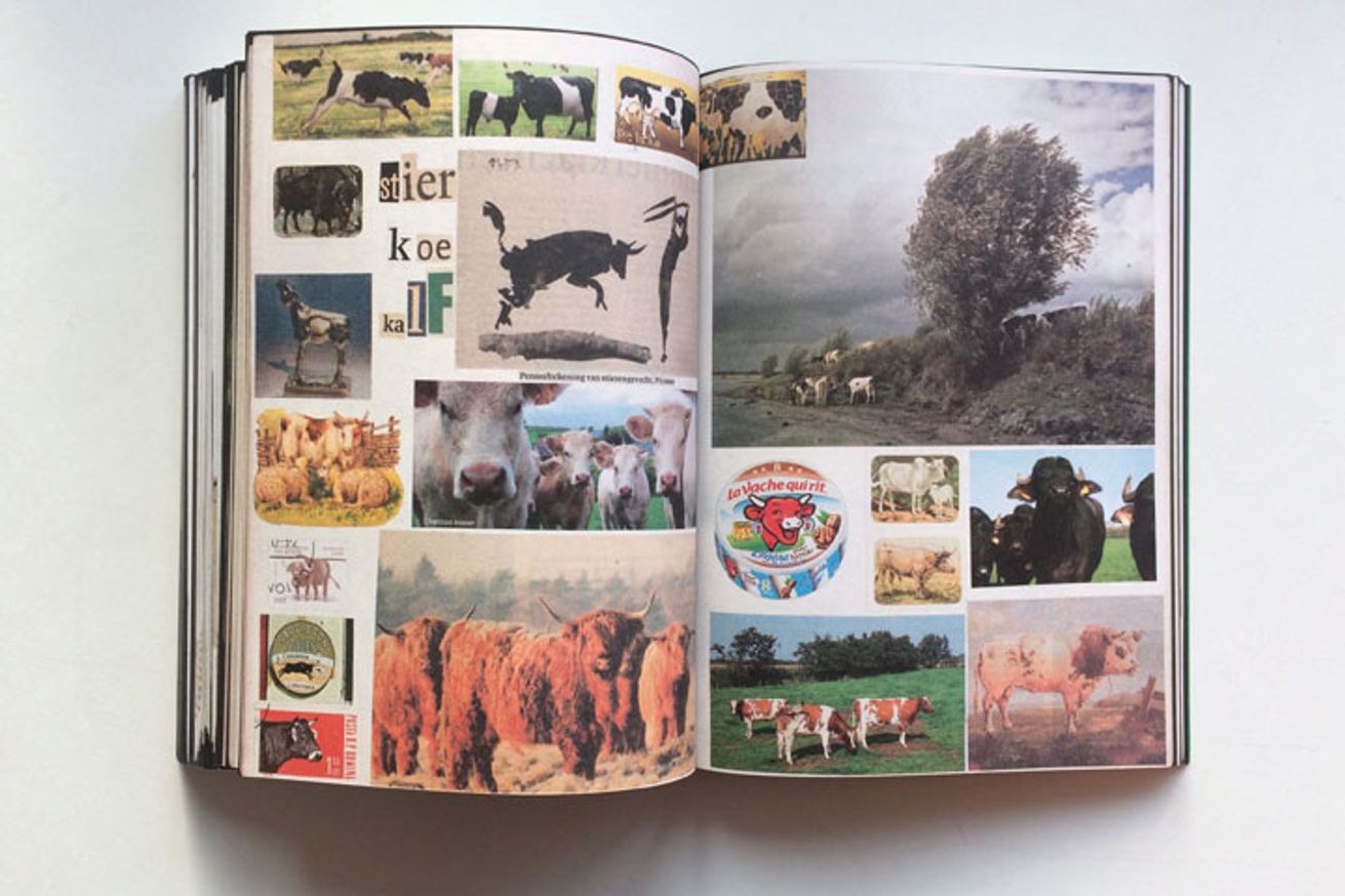 Animal Books For Jaap Zeno Anna Julian Luca [Reprint / New Cover] thumbnail 3