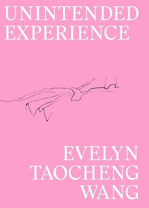 Unintended Experience (A Job In Amsterdam) [Second Edition]