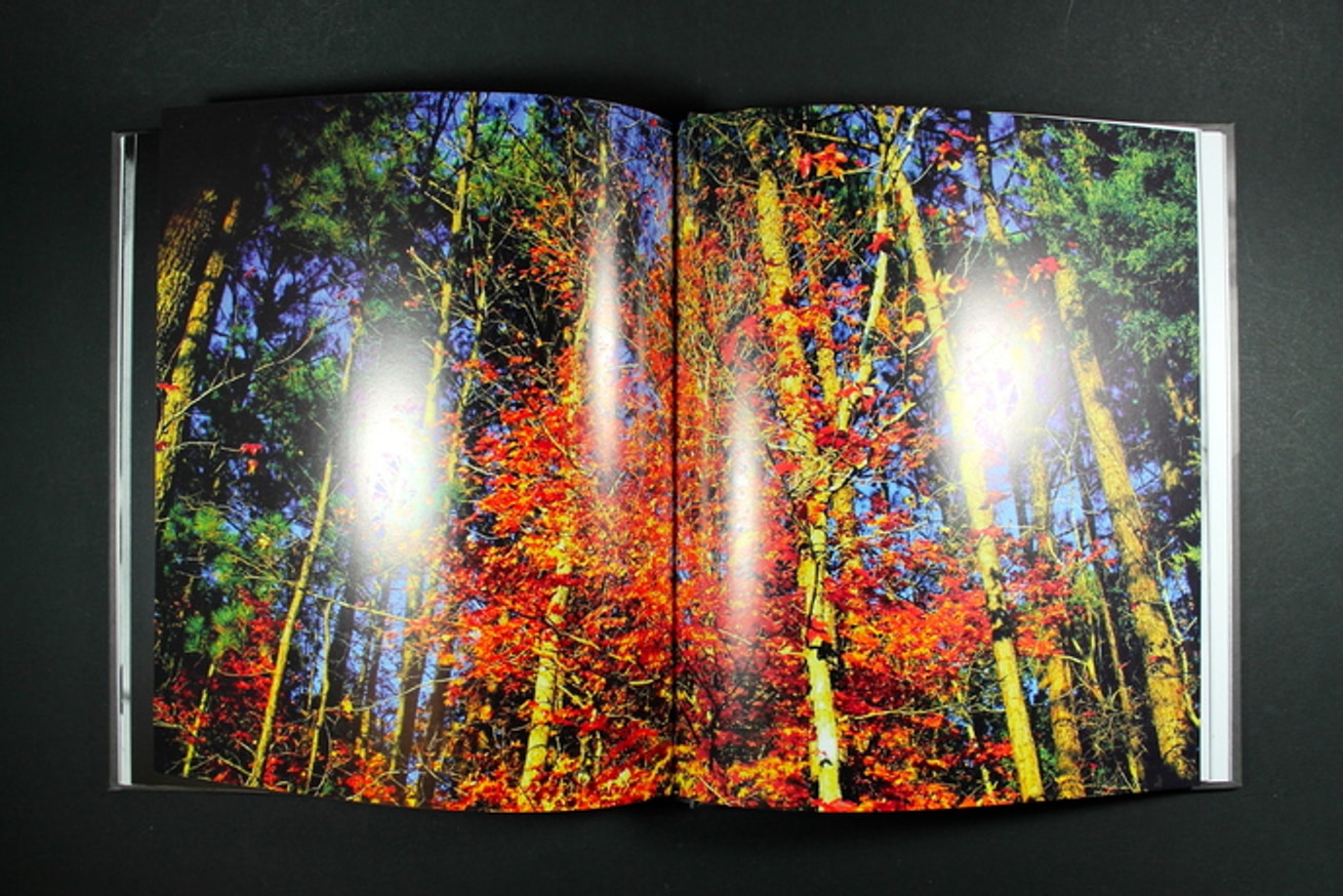 Norman Reedus - The Sun's Coming UpLike a Big Bald Head