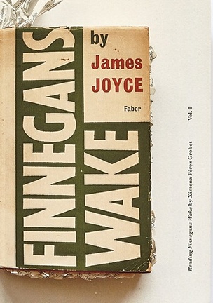 Reading Finnegans Wake