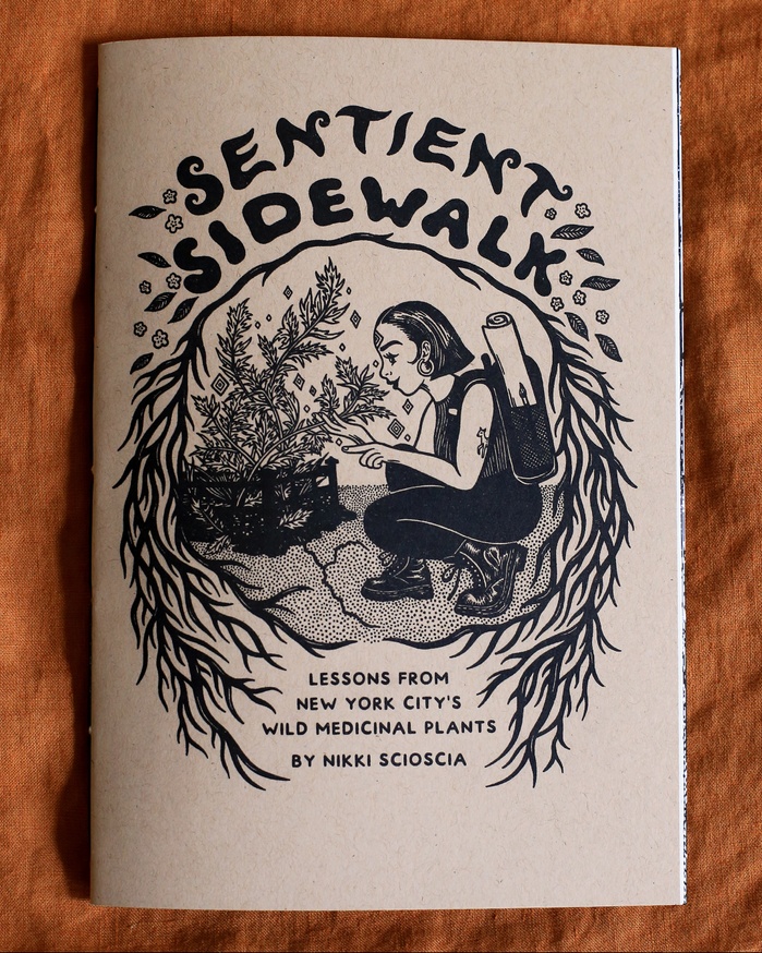 Sentient Sidewalk: Lessons From New York City's Wild Medicinal Plants