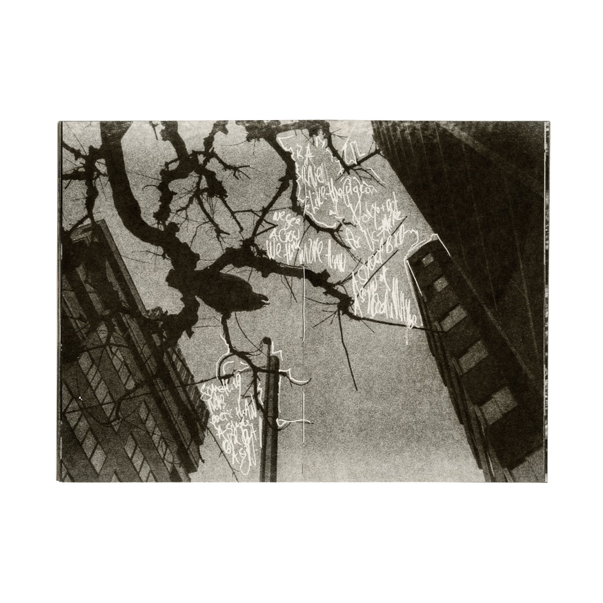 Joseph Rovegno - 0226 - Printed Matter