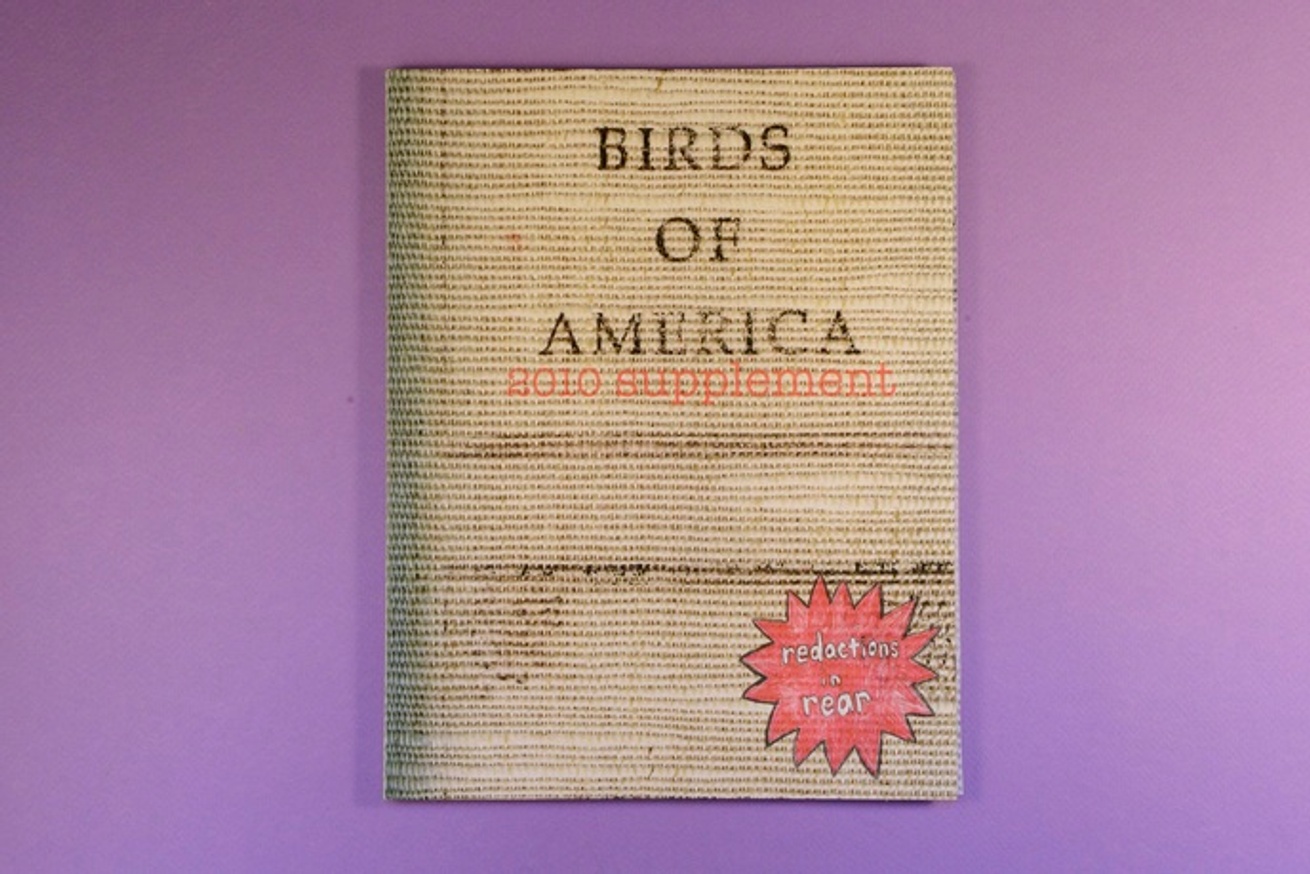 Birds of America 2010 Supplement / Redacted : Double Reared Edition thumbnail 2