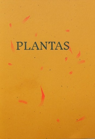 Plantas