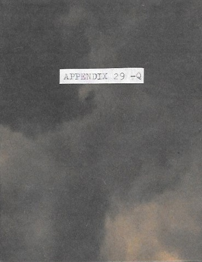 Appendix 29-Q