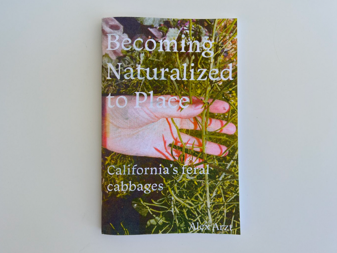 Becoming Naturalized to Place: California's Feral Cabbages [Third Printing]