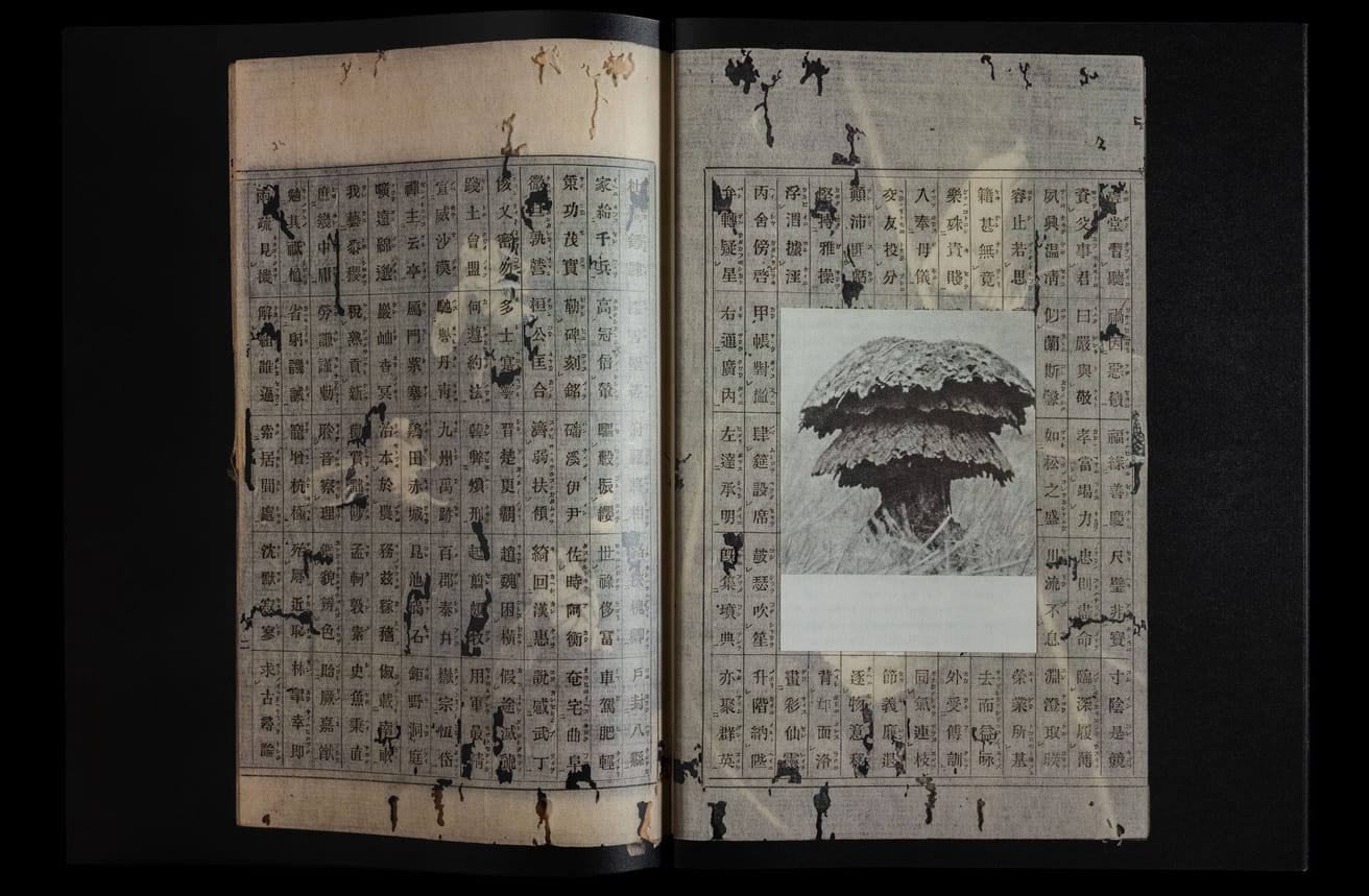 Claudio Pogo and Magdalena Wysocka - dead pages - Printed Matter