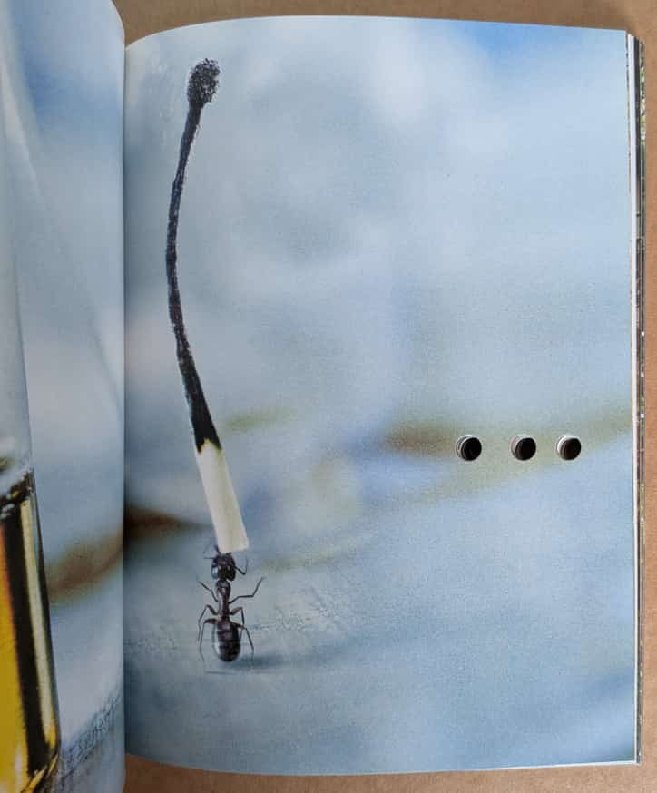 Maurizio Cattelan and Paola Manfrin - Permanent Food - Printed Matter