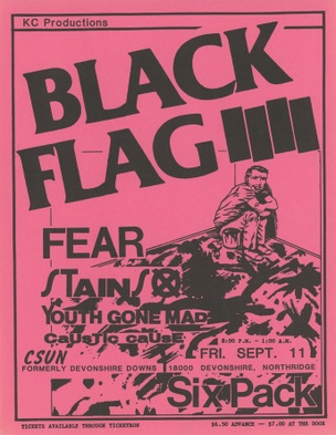 Black Flag: a re-formation gone wrong, Punk