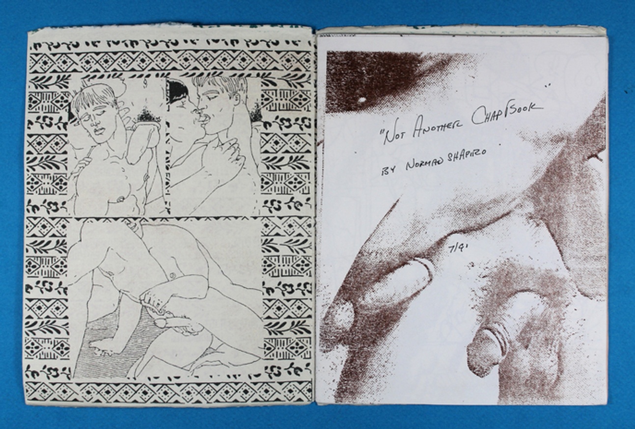 Not Another Chapbook thumbnail 2