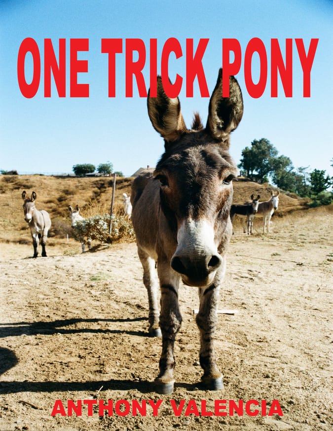 Anthony Valencia - One Trick Pony - Printed Matter