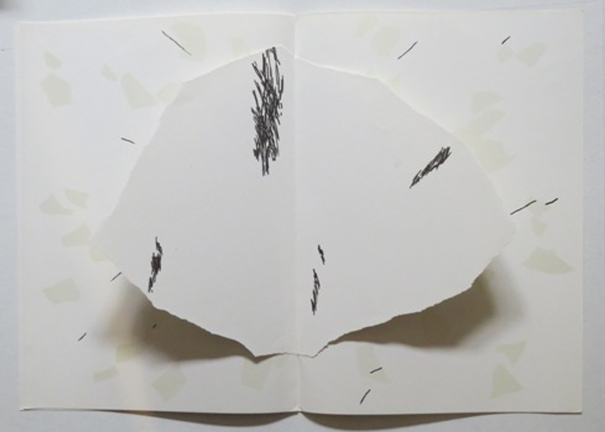 Double Page thumbnail 2