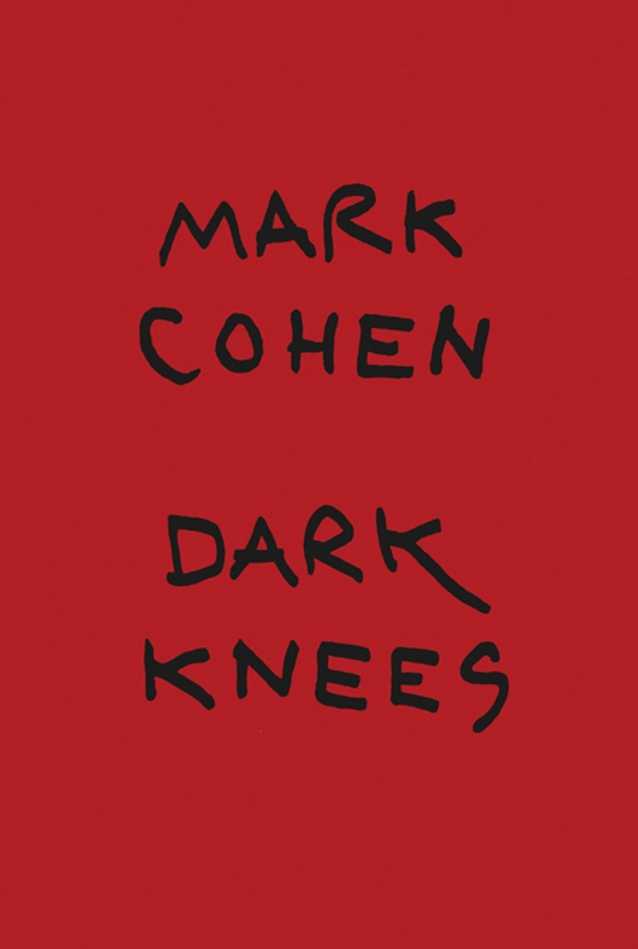 アート・デザイン・音楽 DARK KNEES MARK COHEN Vince Aletti - Mark Cohen : Dark Knees - Printed Matter
