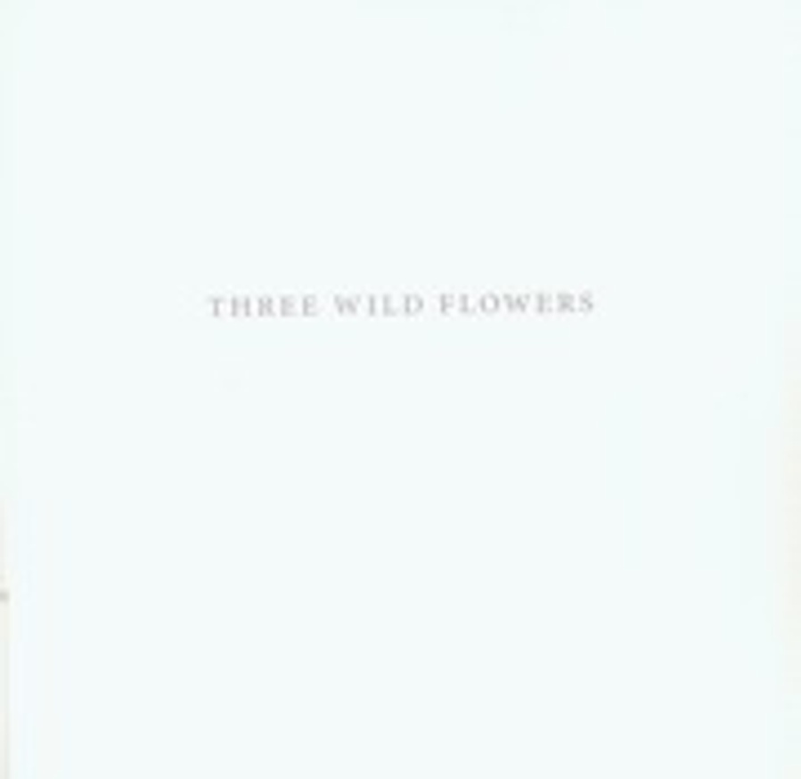 Three Wild Flowers