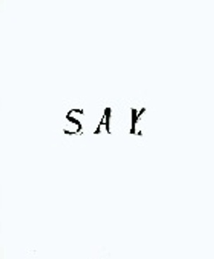 Say