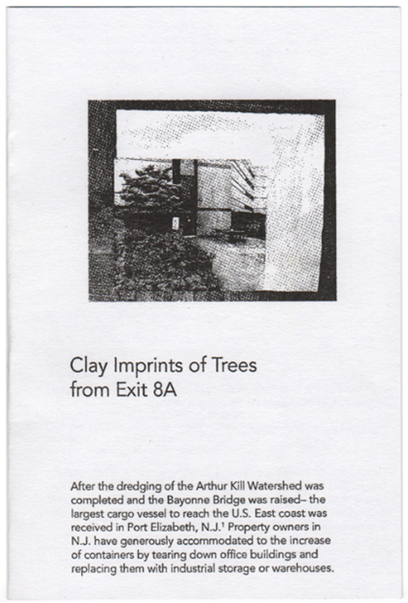 Clay Imprints of Trees from Exit 8A