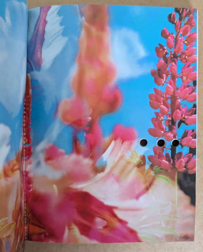 Maurizio Cattelan and Paola Manfrin - Permanent Food - Printed Matter