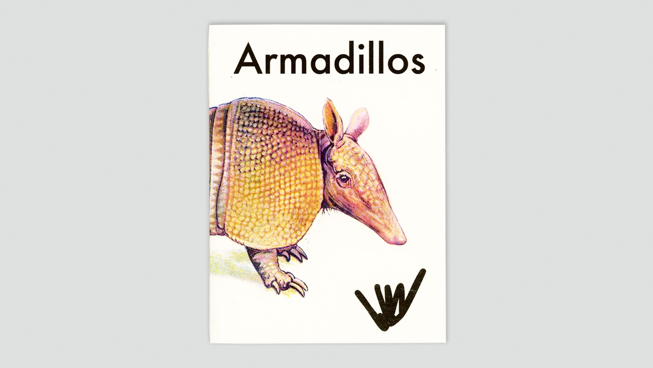 Armadillos