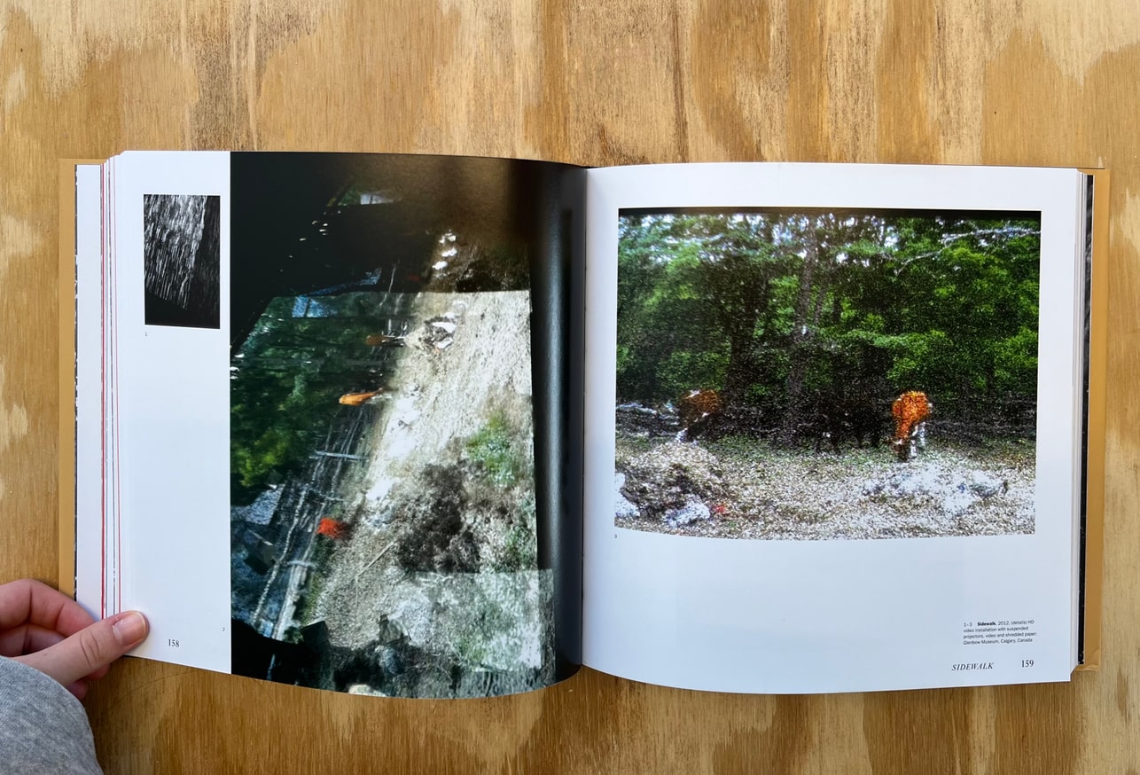 All Things Lost in the Flood ローリー・アンダーソン Laurie Anderson - All the Things I Lost In the Flood - Printed Matter