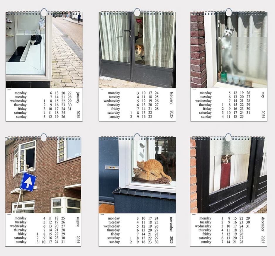 Cats and Dogs in the Window CALENDAR 2025 thumbnail 2