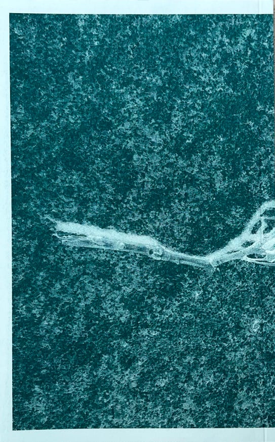 Tyler Rico - Hawthorn Meditation Spring 2022 - Printed Matter