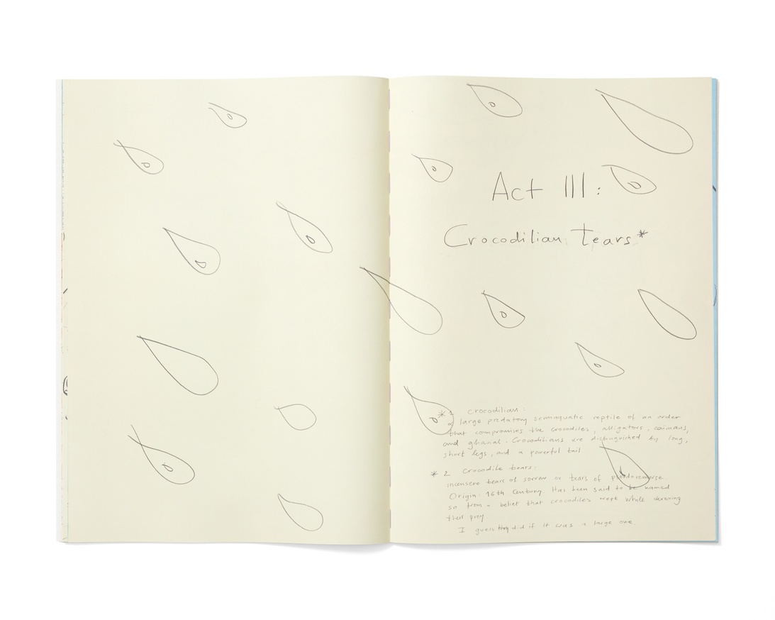 Book of Aquamarina thumbnail 5