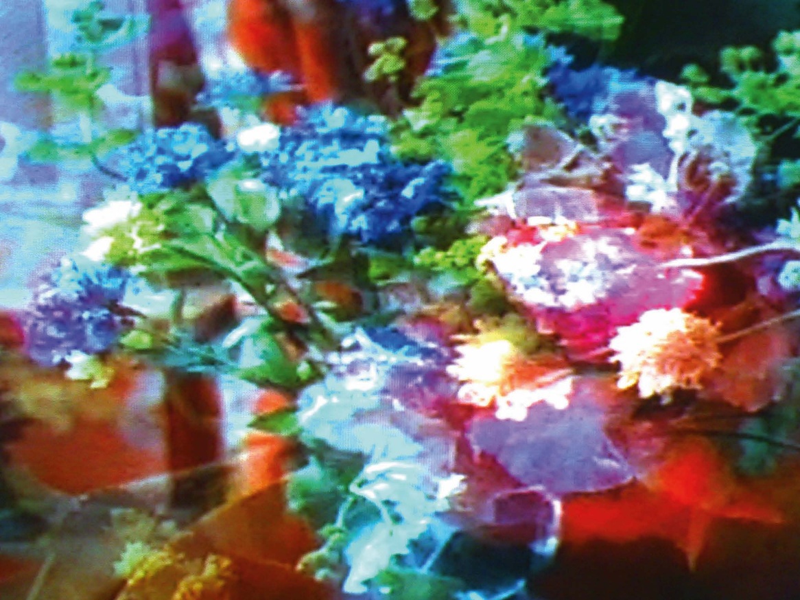 Television Flowers thumbnail 2