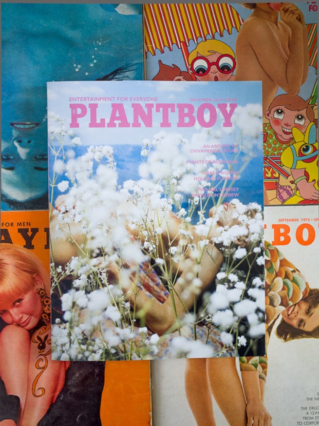 Plantboy