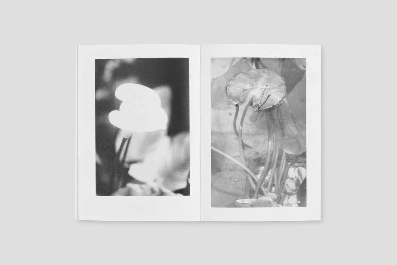 Jochen Lempert - Local Ecology: Moulin des Ribes - Printed Matter