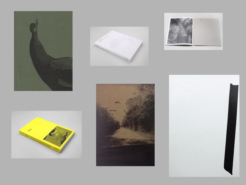 Awoiska van der Molen - Blanco - Printed Matter