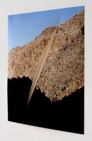 Joshua Tree Mountain Slash, 2015